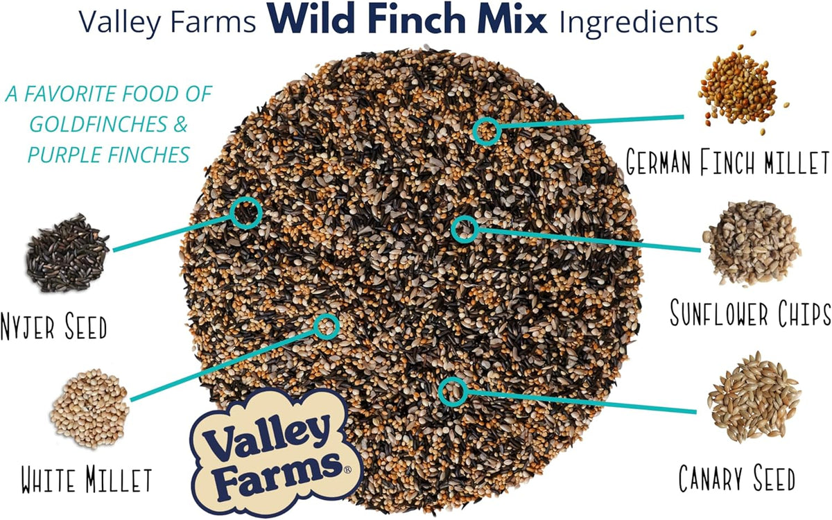 Valley Farms Wild Finch Mix (4 LB) Wild Bird Food for Outside Feeders, Wild Bird Seed with Millet and Chopped Sunflower Hearts for Birds, Finch Seed for Finch Feeders, Sunflower Kernels