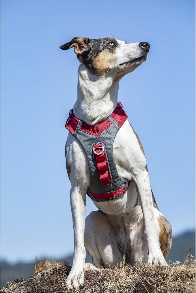 Kurgo Journey Air Dog Harness, Red, Medium | Padded Chest, Ripstop Outer & Breathable Mesh, Back Assist Handle, Rust-Free Aluminum Hardware, Reflective Trim