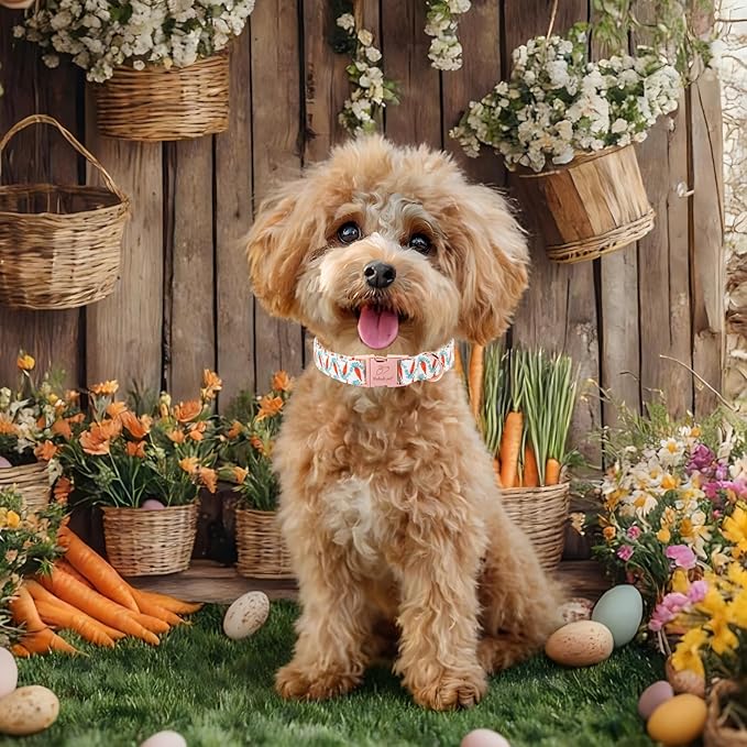 Easter Dog Collar, Cute Carrot Easter Collar for Boy Girl Dogs, Adjustable Heavy Duty Spring Holiday Dog Collars for Small Medium Large Dogs with Metal Buckle S