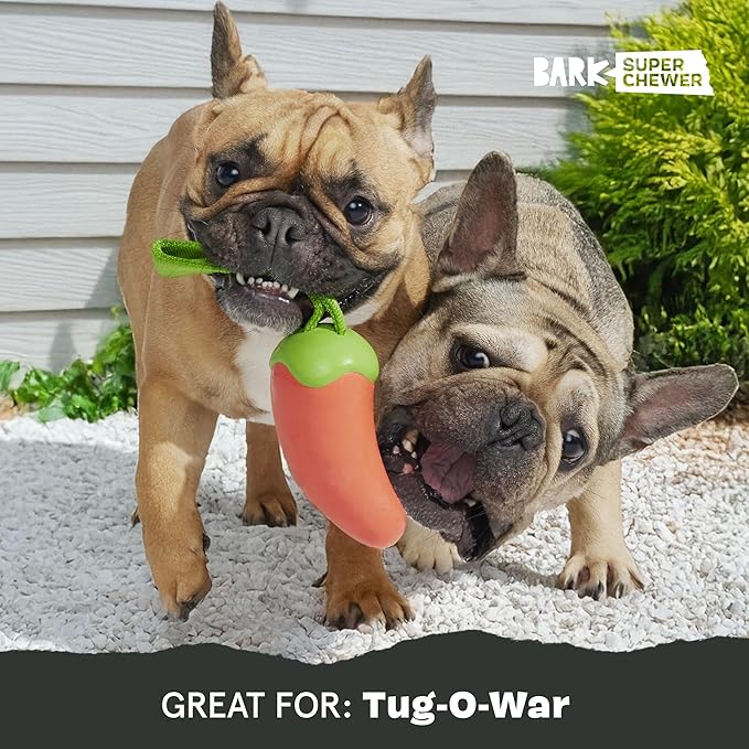Barkbox Habanero Pupper Dog Toy for Medium Dogs Built for Aggressive Chewers, Who Love Tugging, Tossing and Thrashing Fun