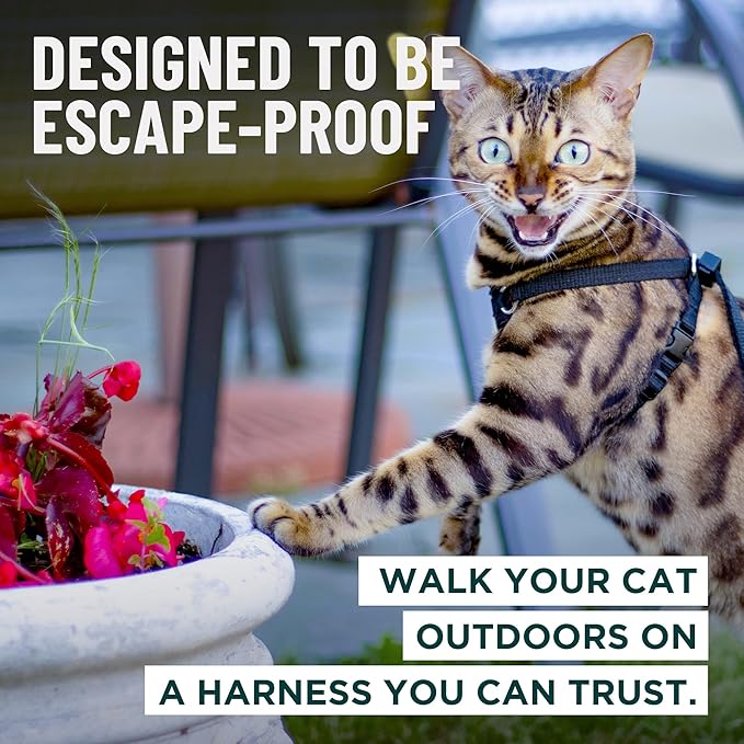 Houdini™ Escape Proof Kitten Harness + Leash (Multicolor, S) | Adjustable walking vest with 6ft lead, breathable mesh, snug secure fit, light and gentle for first outdoor adventures