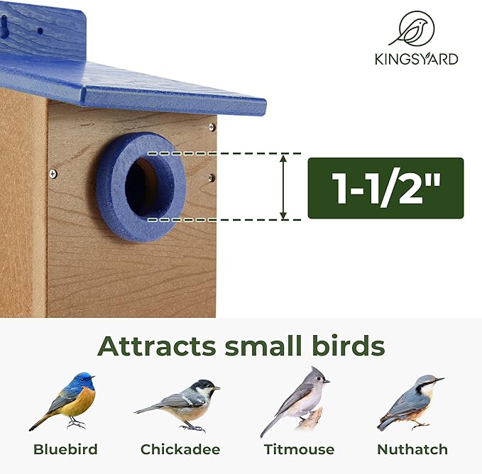 Kingsyard Recycled Plastic Bird House for Outdoor - Durable Nesting Box with Clear View Panel & Predator Guard for Bluebird Wren Swallow Finch, Blue & Brown