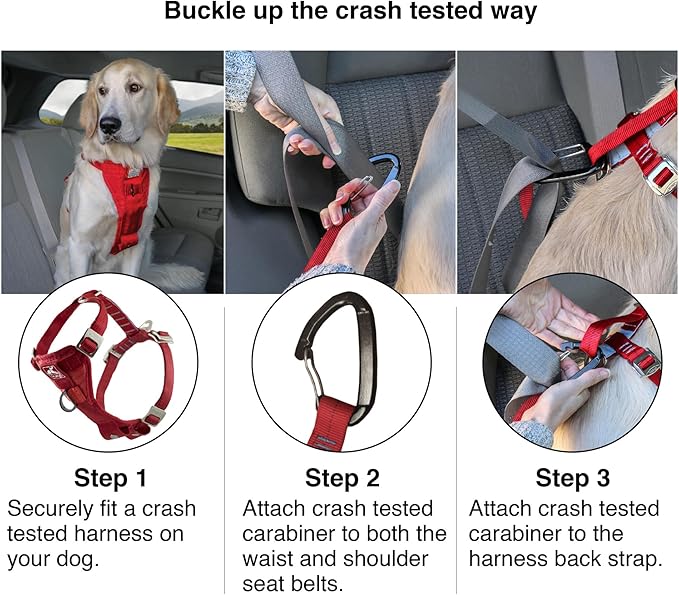Kurgo Enhanced Strength Tru-Fit Smart Harness, Black, Extra Large | Crash Tested Car Harness for Dogs up to 75Lbs, Seatbelt Tether & Steel Carabiner, All-Steel Buckles, Padded Chest for Comfort