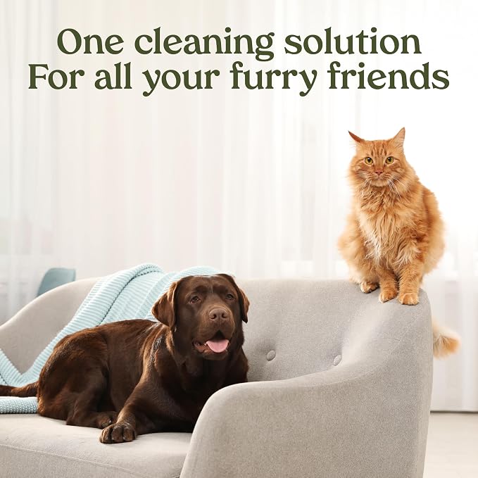 PAWFUME Stain & Pet Urine Odor Eliminator, 1-Pack | Enzymatic quick-dry formula with eco-friendly ingredients for upholstery, fabrics and Carpet Cleaner Spray use