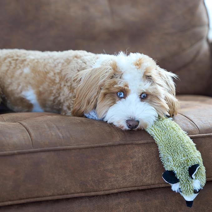 SPOT Skinneeez Raccoon 23 Inch Stuffing-Free Dog Toy – Soft Plush Tug Toy with Two Squeakers for Medium and Large Dogs – Mess-Free Interactive Chew Toy