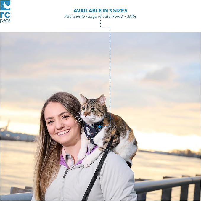RC Pets Adventure Kitty Cat Harness | Adjustable Airmesh Vest with D-Ring and 6ft Leash for Walking and Travel | Daisies, Medium