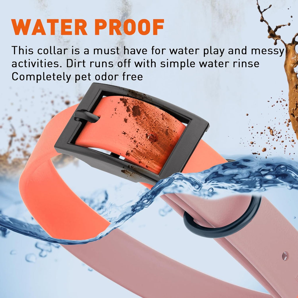 Dogline Biothane Waterproof Dog Collar Strong Coated Nylon Webbing with Black Hardware Odor- Proof for Easy Care Easy to Clean High Performance Fits Small Medium or Large Dogs, Coral