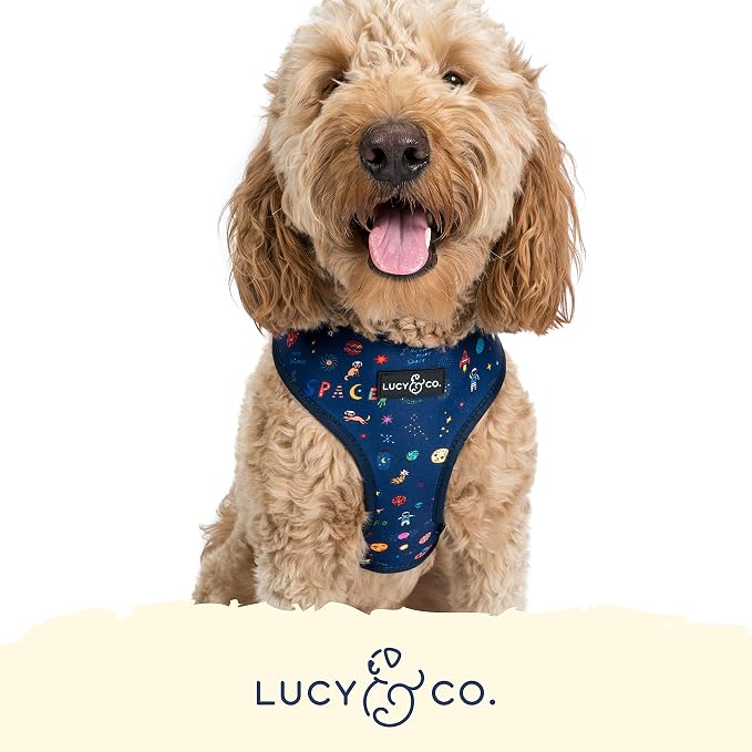 Lucy & Co. Reversible Dog Harness - Water-Repellent Neoprene, Dual-Print Design, Easy Swap Style, Adjustable Comfort Fit - Space Doodle Reversible Harness - X-Large