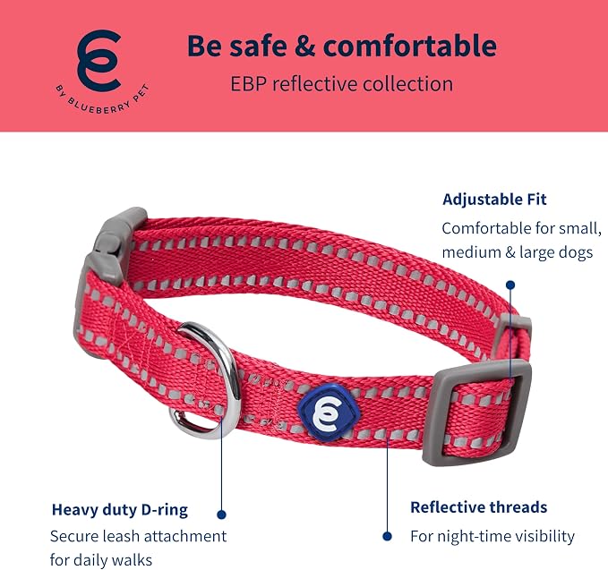 Blueberry Pet Essentials Reflective Dog Collar & Leash Set, Adjustable for Small Dogs | Safe Walking Gear for Pet Parents, Puppy Training & Daily Use SmallDogs, Very Berry