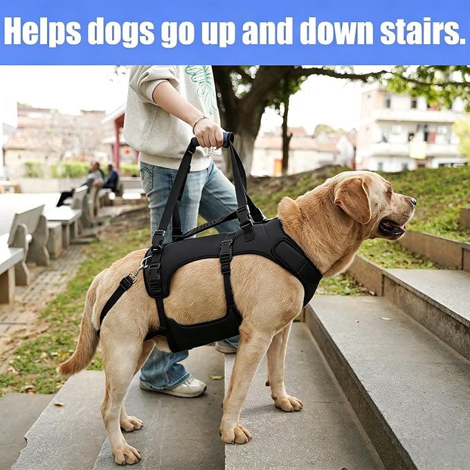 COODEO Dog Lift Harness for Large Dogs, Full Body Support Mobility Aid for Senior Dogs, Adjustable Help for Weak Hind Legs, Arthritis, Stairs & Cars(Black,M)