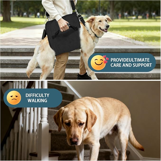 Adjustable Dog Lift Harness, Dog Carry Sling Provides Rear Leg Support for Senior Dogs, Arthritis and After ACL Surgery Dogs,Suitable for Medium to Large Dogs,Black L