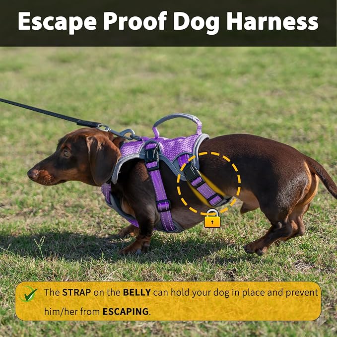 Escape Proof Dog Harness, Dachshund Harness, Reflective Dog Harness with Handle, Durable,Adjustable Vest for Small Medium Large Dogs Walking, Training, and Running Gear (Lavender Purple,L)
