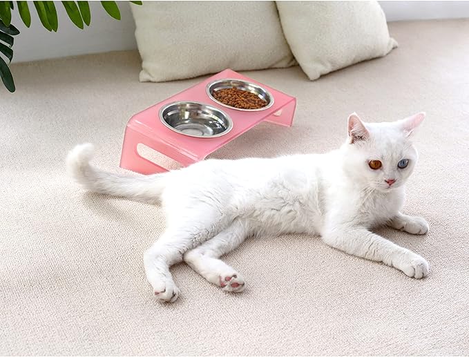 Tilted Raised Elevated Food and Water Bowls Stand for Cat or Small Dogs - Puppy's Clear Acrylic Stainless Steel Dishes Holder for Boy or Girl Pet,Modern,Durable and Easy to Clean by WBhonghui (Pink)