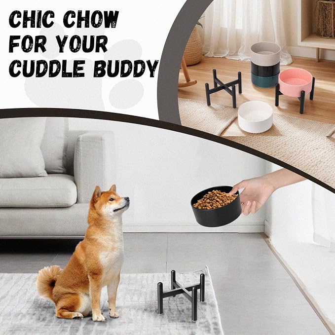 Raised Ceramic Dog Bowl Set with Stand, 2 Cups Elevated Dog Food Stand | 6.1'' Single Dog Food or Water Bowl Set, Non-Slip Dog Feeding Dishes for Small to Medium Breeds, 28.75 OZ, White