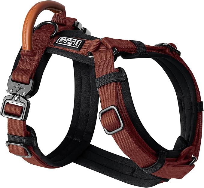 MADE TO ROAM Premium Explorer Harness - Y-Shaped Dog Harness with Adjustable Durable Nylon, Soft Padding, Metal Buckles and Leather Handle for Small, Medium, Large Dogs (Arizona Heartbeat, Size 3)