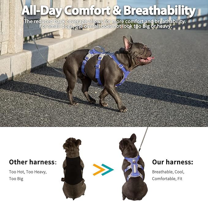 Escape Proof Dog Harness, No Pull Reflective Harness with Lift Handle, Adjustable Pet Vest with Front and Back Leash Clips for Small Medium Large Dogs Walking Hiking Training (Vista Blue,XL)