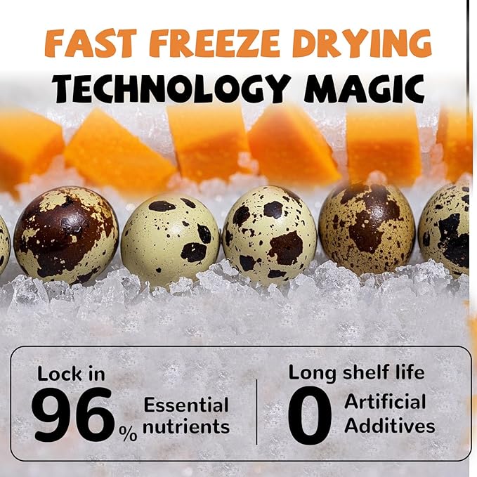 PAWUP Freeze Dried Cat & Dog Treats, Natural Quail Egg Yolk, High Fiber Pumpkin Added, High-Protein Pet Snacks for Coat & Gut Health, 3.5 oz