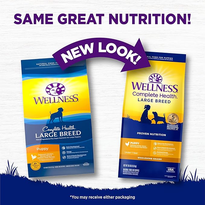 Wellness Natural Pet Food Complete Health Natural Dry Large Breed Puppy Food, Chicken, Salmon & Rice, 30-Pound Bag