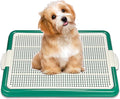 Dog Pee Pad Holder Tray, Puppy Potty Training, 22.5"x16.5", PP Plastic, Snap Lock, 4 Colors (Green)