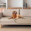 gogobunny Waterproof Blanket, Couch Covers for Dogs, Reversible Protector | 3X Stronger Leakproof, Scratch Proof Durable Furniture Protection, Stain Resistant, Washable, 30x70 Inch Dark Beige