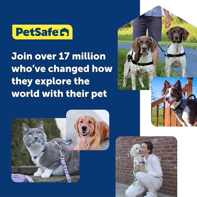 PetSafe Easy Walk No-Pull Dog Harness - Ultimate Harness to Help Stop Pulling-Pull-Free Walks-Take Control & Teach Better Leash Manners-Patented Martingale Loop Design-Gray,Medium/Large (Pack of 3)