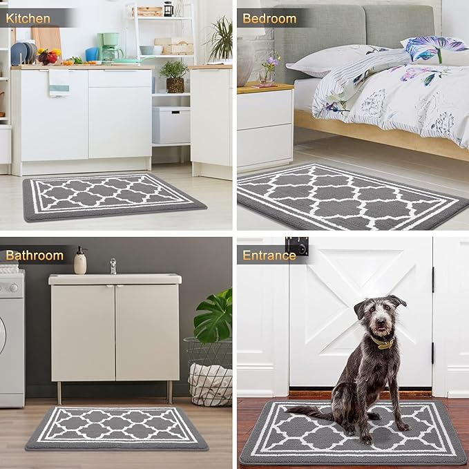 Buganda Indoor Door Mat, Dirt-Resistant and Absorbent Doormat, Anti-Slip, Low Profile Floor Mats for Inside Entryway, Front, and Back Door Entrance (36x24 Inches, Grey)