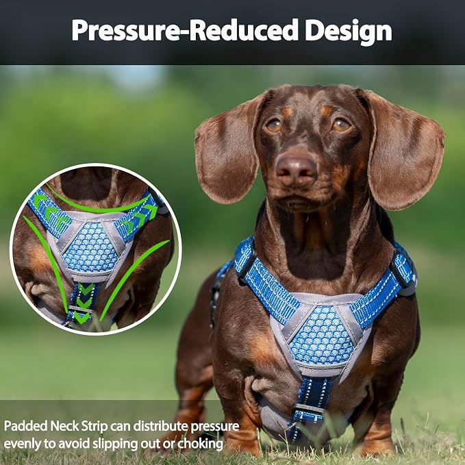 Escape Proof Dog Harness, Dachshund Harness, Reflective Dog Harness with Handle, Durable,Adjustable Vest for Small Medium Large Dogs Walking, Training, and Running Gear (Sea Blue,M)
