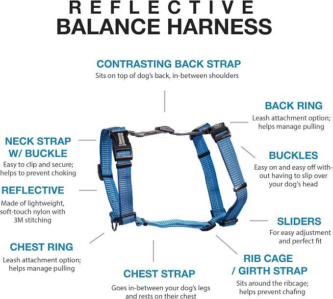 Blue-9 Reflective Buckle-Neck Balance Harness, Fully Customizable Fit No-Pull Harness with 3M Reflective Stitching, Ideal for Dog Training and Obedience, Made in The USA, Blue, Large