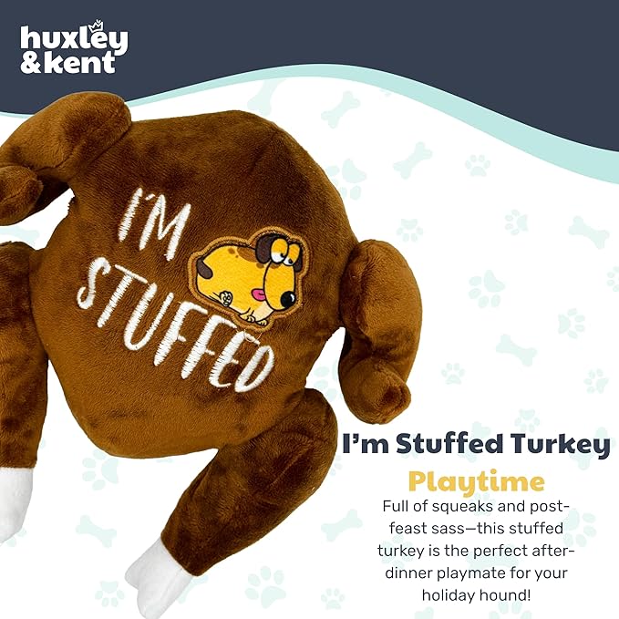 Huxley & Kent Funny Dog Toy w/Squeaker – Thanksgiving Fall Power Plush Squeaky Dog Toys for Small, Medium & Large Dogs – Soft Stuffed Animal for Indoor Play & Fetch - I'm Stuffed Turkey, Small