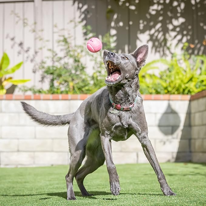 Hyper Pet Tennis Balls for Dogs (Safe Dog Tennis Ball for Exercise and Training, Interactive Toys work with Hyper Pet K9 Kannon K2 Launcher - 4 Pack 2.5" Pink