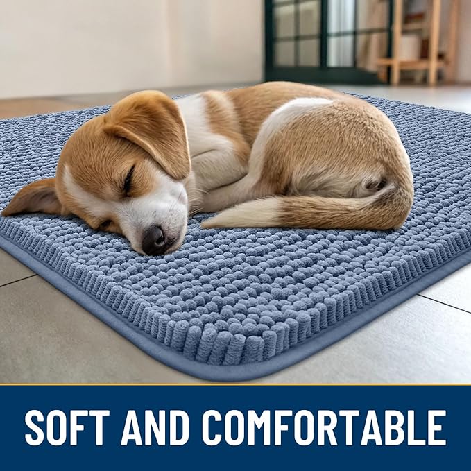 Smiry Dog Door Mat for Muddy Paws 70x24, Absorbs Moisture and Dirt Doormat, Non-Slip Washable Quick Dry Chenille Front Door Mat Indoor Entrance, Entryway Carpet for Inside Floor, Airy Blue