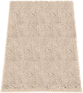Absorbent Dog Door Mat for Muddy Paws, 48" x 30" Chenille Indoor Mats for Entryway, Trap Dirt Front Door Mat Indoor Entrance Washable Non Slip Soft Beige