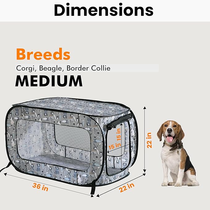 Beatrice Home Fashions Portable, Collapsible, Pop Up Kennel Travel Cat and Dog Crate, 36" L x 22" W x 22" H, Tail Waggers