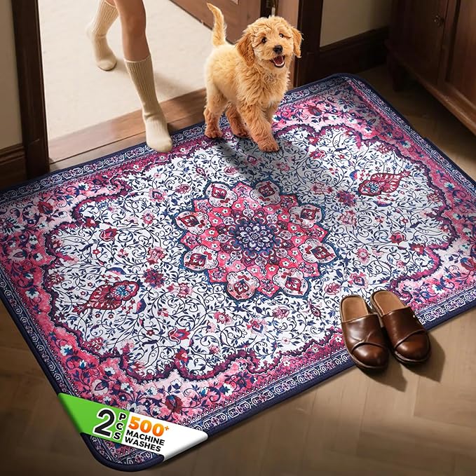 Hompet 2 Pack Super Absorbent Dog Door Mat for Muddy Paws, Washable Pee Pads for Dogs, Reusable Puppy Training Pads, Quick Dry Non-Slip Pet Entryway Rug, Leak-Proof Potty Pad for Indoor Floors 48x72