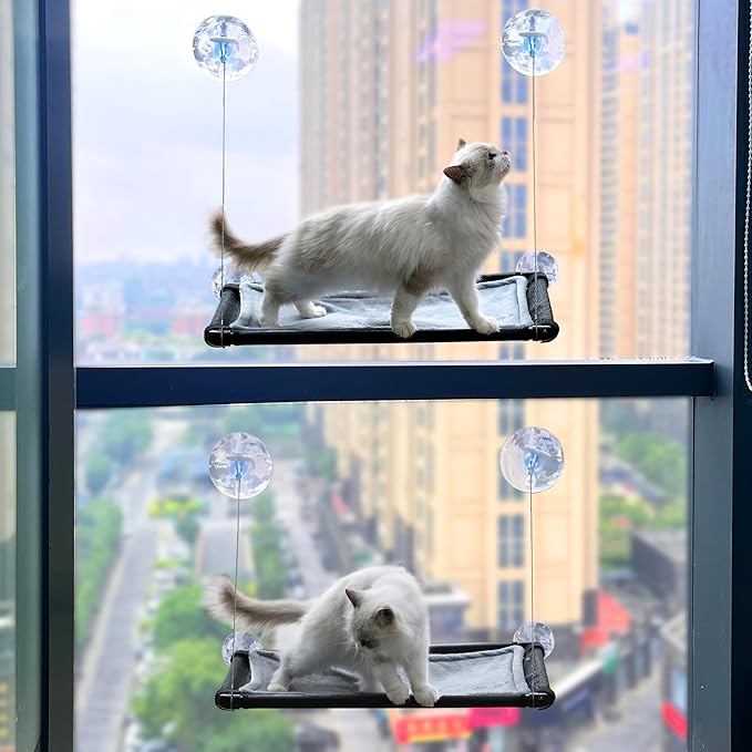 2 Pack Cat Hammock for Window Wall with 8 Suction Cups 2 Cushion Cover,Cat Window Perch, Space Saving and Easy Mounted Large Cats Bed,Pet Resting Safety Holds (Black, Large)