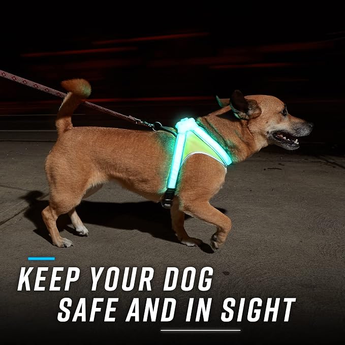 noxgear LightHound Light Up Reflective Dog Harness, Large | 360° Light Up Reflective Dog Harness, 8 Colors & 6 Modes, USB Rechargeable, Adjustable, Rainproof, LED Fiber Optic