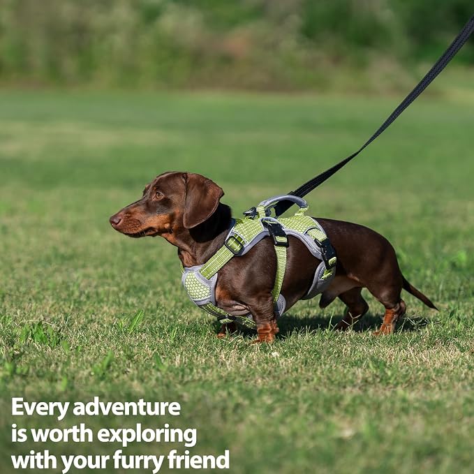 Escape Proof Dog Harness, Dachshund Harness, Reflective Dog Harness with Handle, Durable,Adjustable Vest for Small Medium Large Dogs Walking, Training, and Running Gear (Green,XL)