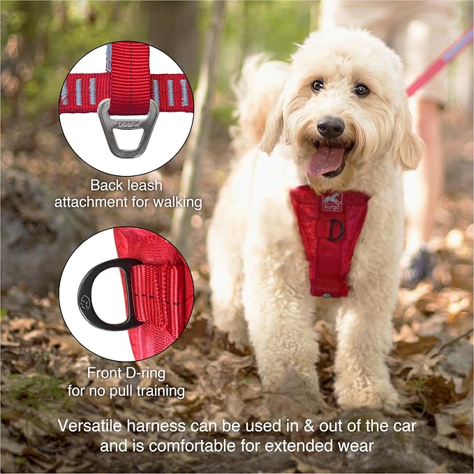 Kurgo Enhanced Strength Tru-Fit Smart Harness, Black, Large | Crash Tested Car Harness for Dogs up to 75Lbs, Seatbelt Tether & Steel Carabiner, All-Steel Buckles, Padded Chest for Comfort
