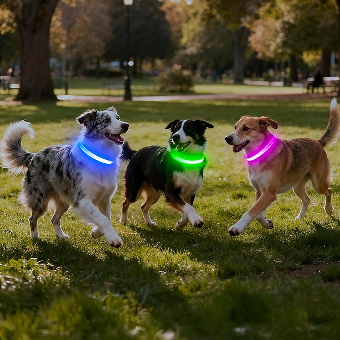 VIZPET LED Dog Collar, Light Up Dog Collar Adjustable USB Rechargeable Super Bright Safety Light Glowing Collars for Dogs (Purple, Medium[14.96-19.68 inch/38-50cm])