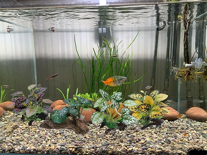M2cbridge Artificial Fish Tank Plants Aquarium Plastic Plant Aquatic Water Grass Foreground Decor (2PCS Plastic Plants)