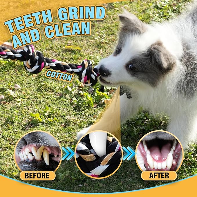 18 Bulk Various Dog Rope Toys for Teething, Entertainment & Interaction, Dog Chew Toys, Training Tug Balls and Squeaky Toys for Medium&Small Puppies.