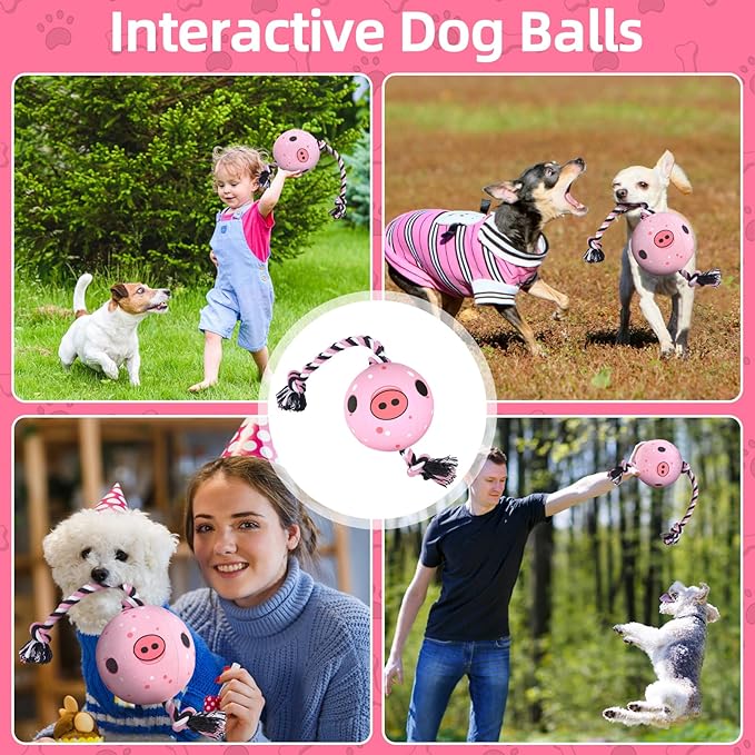 QDAN Dog Rope Dogs Toy: Dog Soccer Ball with Strap, Balls on Rope Plush Outdoor Birthday Toys for Small to Medium(for Medium Dogs, Pig)