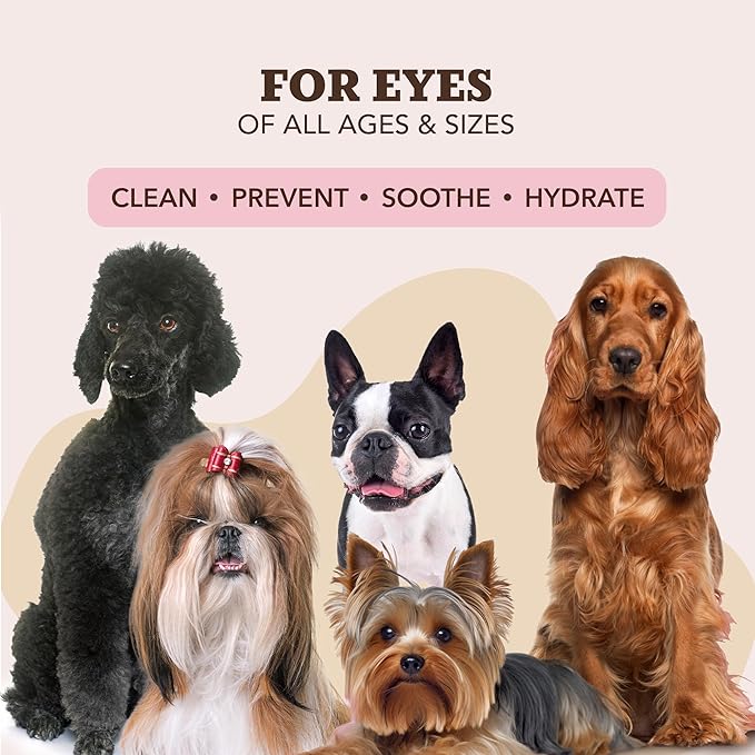 Natural Dog Ear Wipes (50 Ct) Essential Oil Infused Hygenic Dog Ear Cleanser for Dogs, Reduces Odor, Soothing Calendula, Aloe Vera, Witch Hazel, Dog Ear Itch Relief, Vegan