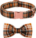 Lionet Paws Halloween Dog Collar with Bowtie - Cute Cotton Adjustable Fall Bowtie Dog Collar with Metal Buckle for Small Medium Large Dog Girl Boy Gift, M, Neck 13.5-22in