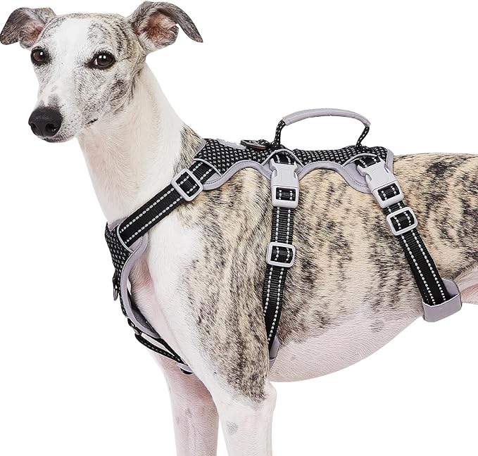 Escape Proof Dog Harness, No Pull Reflective Harness with Lift Handle, Adjustable Pet Vest with Front and Back Leash Clips for Small Medium Large Dogs Walking Hiking Training (Black,XL)