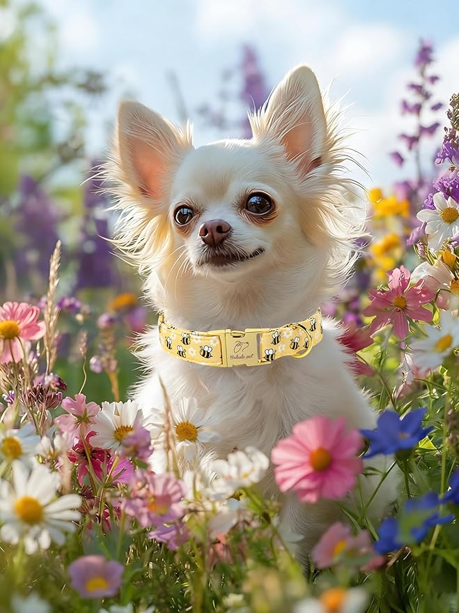 Yellow Bee Dog Collar, Cute Spring/Summer Cartoon Boy Girl Dog Collars, Adjustable Heavy Duty Male Female Dogs Collar for Small Medium Large Dogs with Metal Buckle M