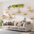 Cat Wall Shelves, Cat Wall Furniture Pine Wooden Feline Shelf, 16 Piece Feline Shelves and Perches with Condos, House, Steps, Bridge Ladder, Scratching Post and Tunnel