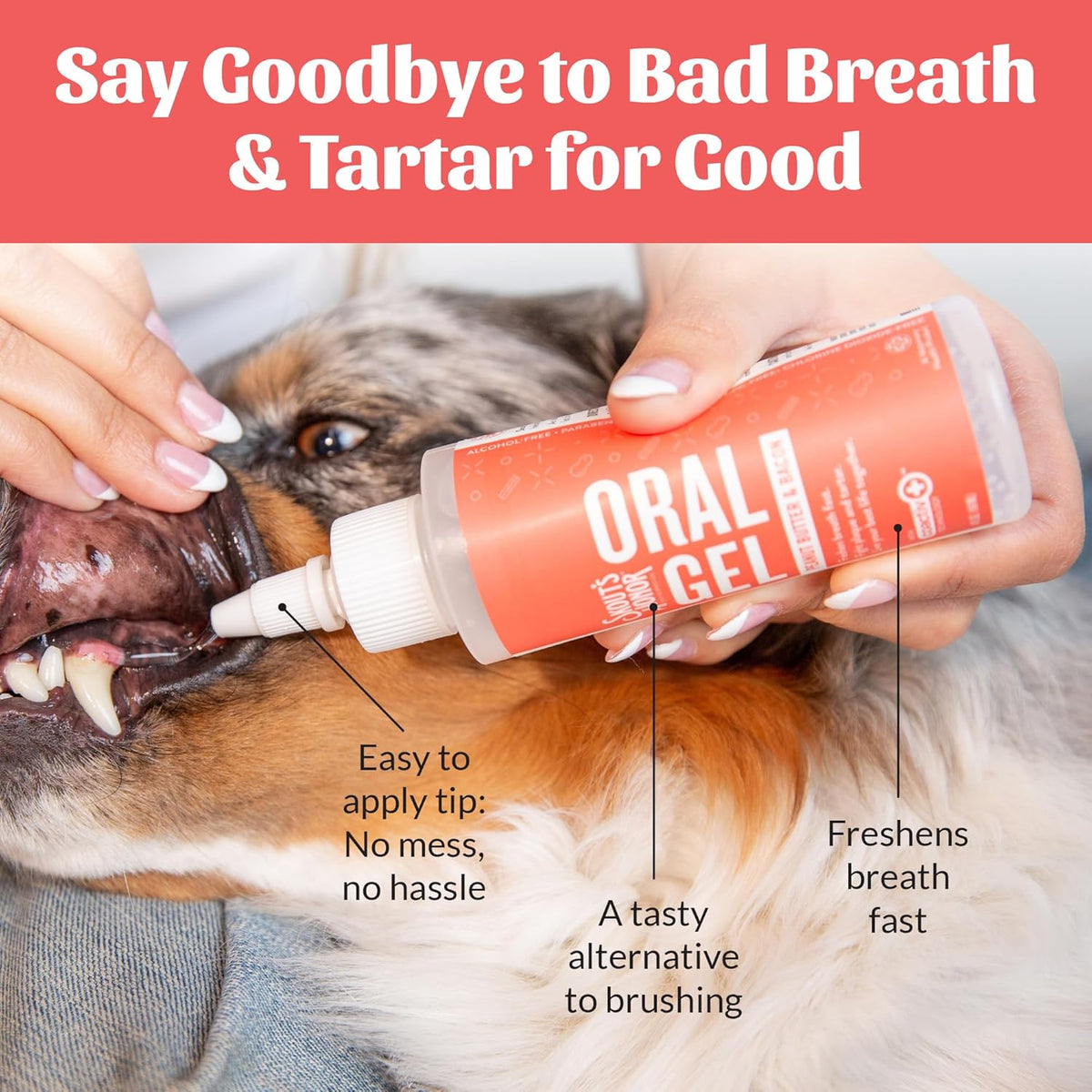 SKOUT'S HONOR Peanut Butter & Bacon Oral Gel - Fights Plaque and Tartar, Freshens Breath Fast, No Brushing Required, 4 oz
