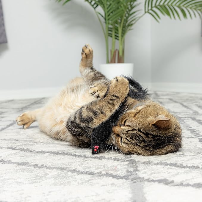 SPOT Shaggy Plush Ferret - Interactive Rattle and Catnip Fuzzy Toy for Indoor Cats and Kittens, Large Size Perfect for Pouncing, Chasing, Hunting, 11 Inches