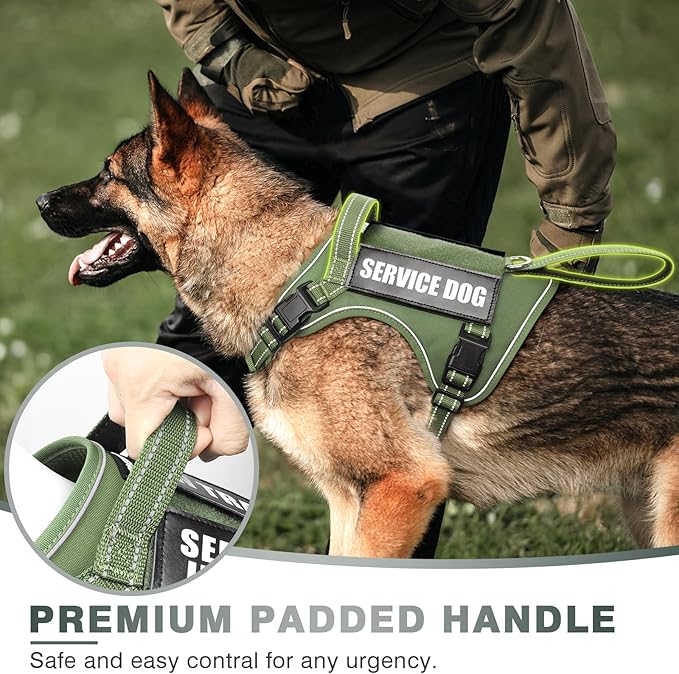 WINSEE Tactical Dog Harness, No Pull Dog Harness for Medium Large Dogs with Handle & Molle, Military Service Dog Vest Harness in Training Pet Harness for Small Dogs